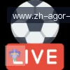 AG娱乐登录 logo